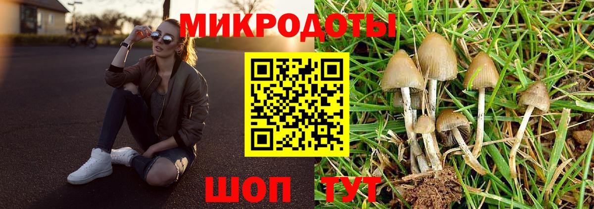 Псилоцибиновые грибы GOLDEN TEACHER Шатура